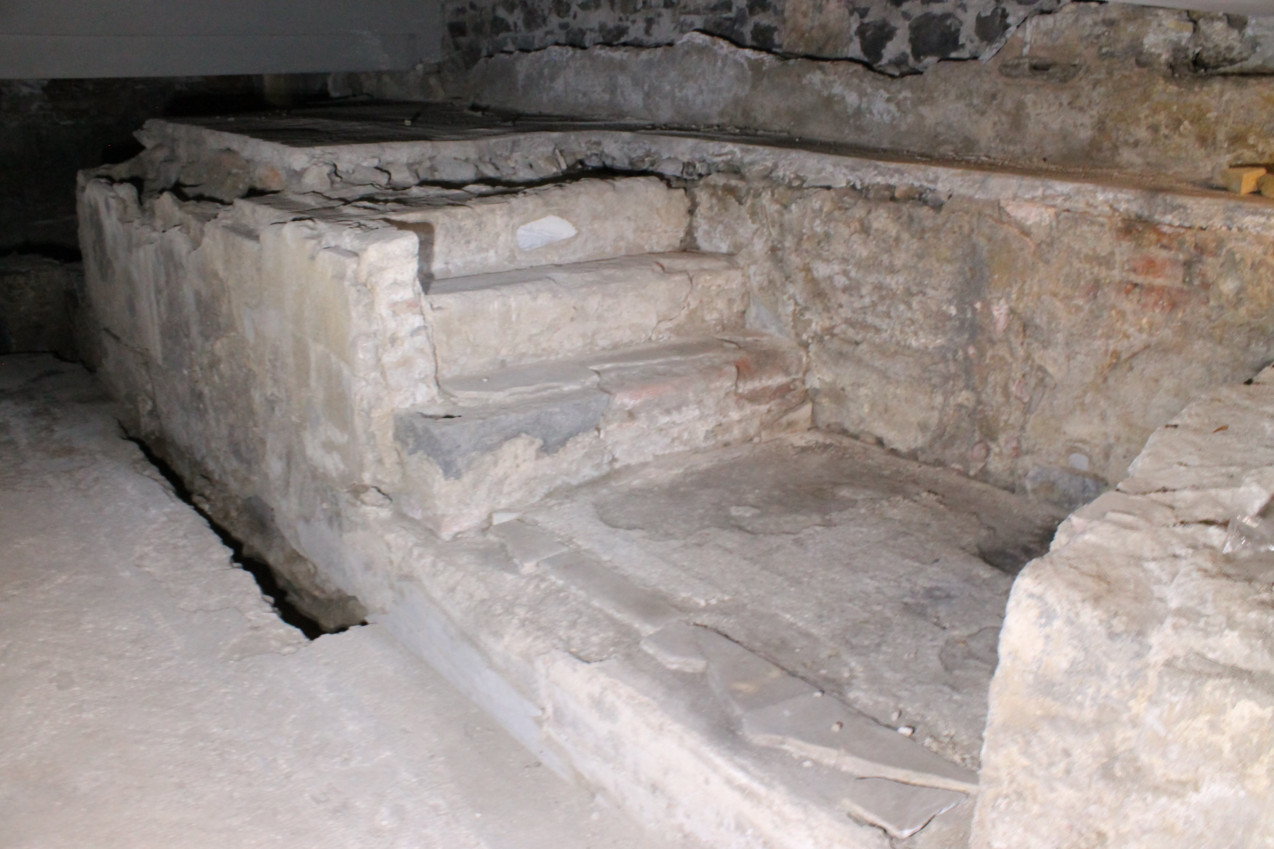 Portico_ISTEMI e Phoenix (12).JPG