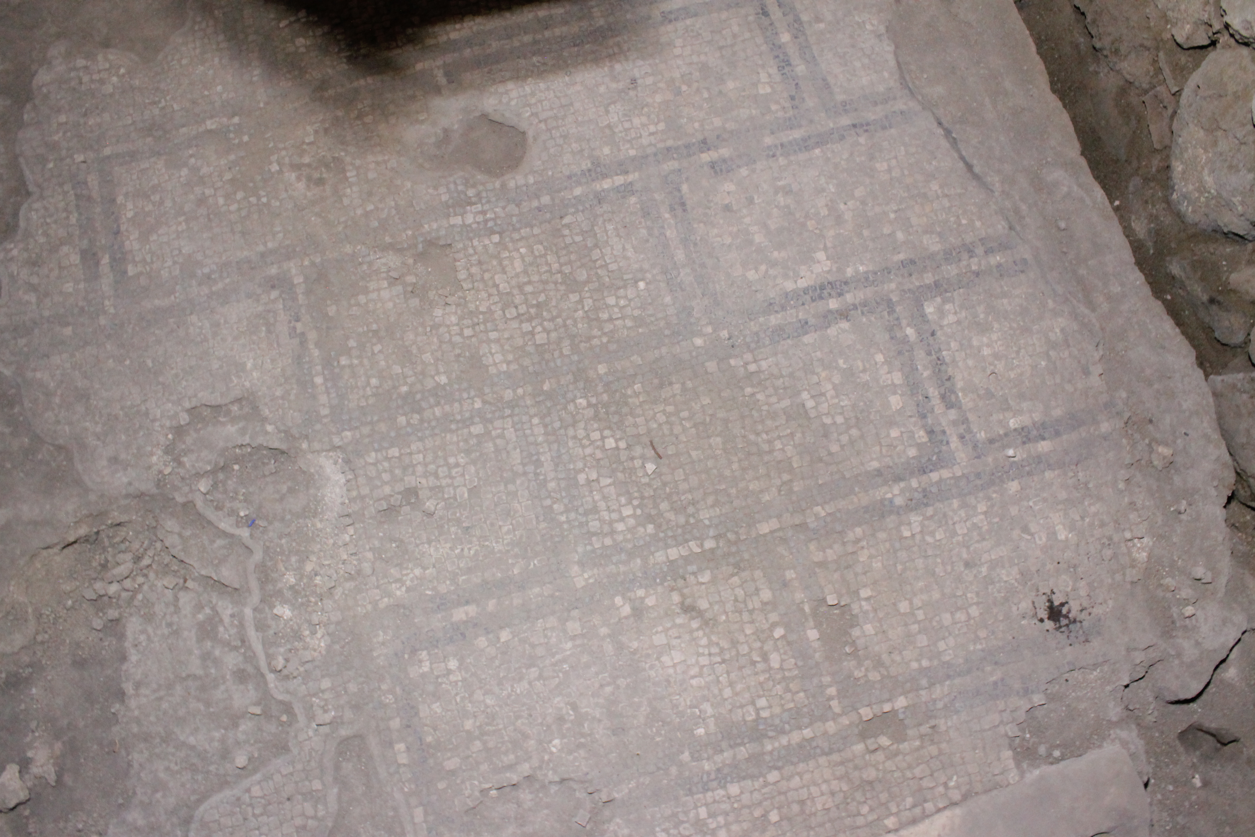 Portico_ISTEMI e Phoenix (15).JPG