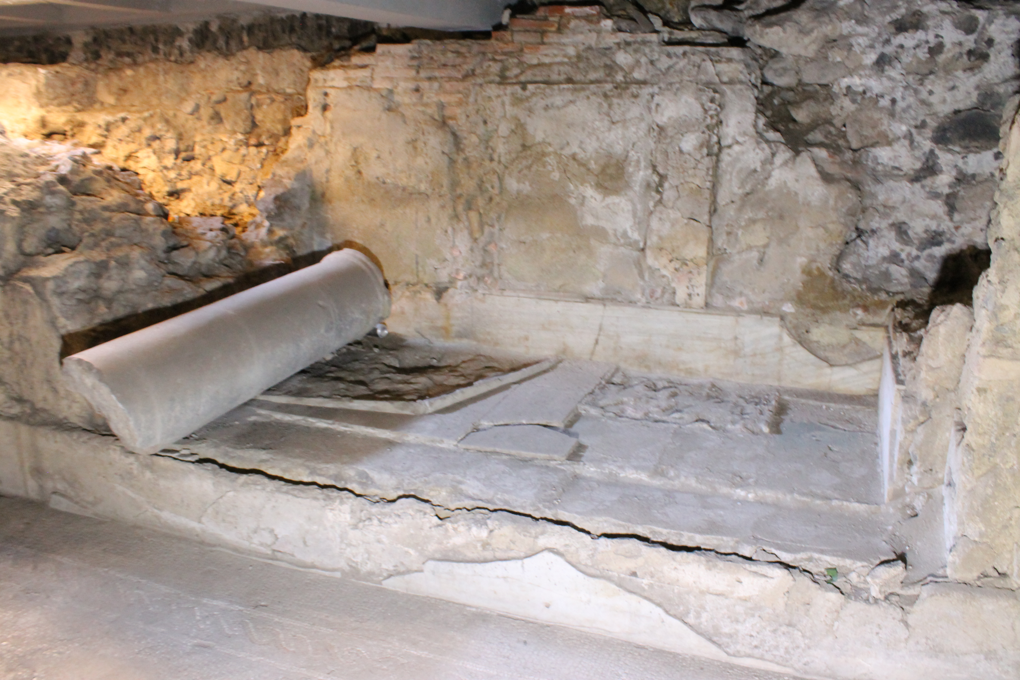 Portico_ISTEMI e Phoenix (16).JPG