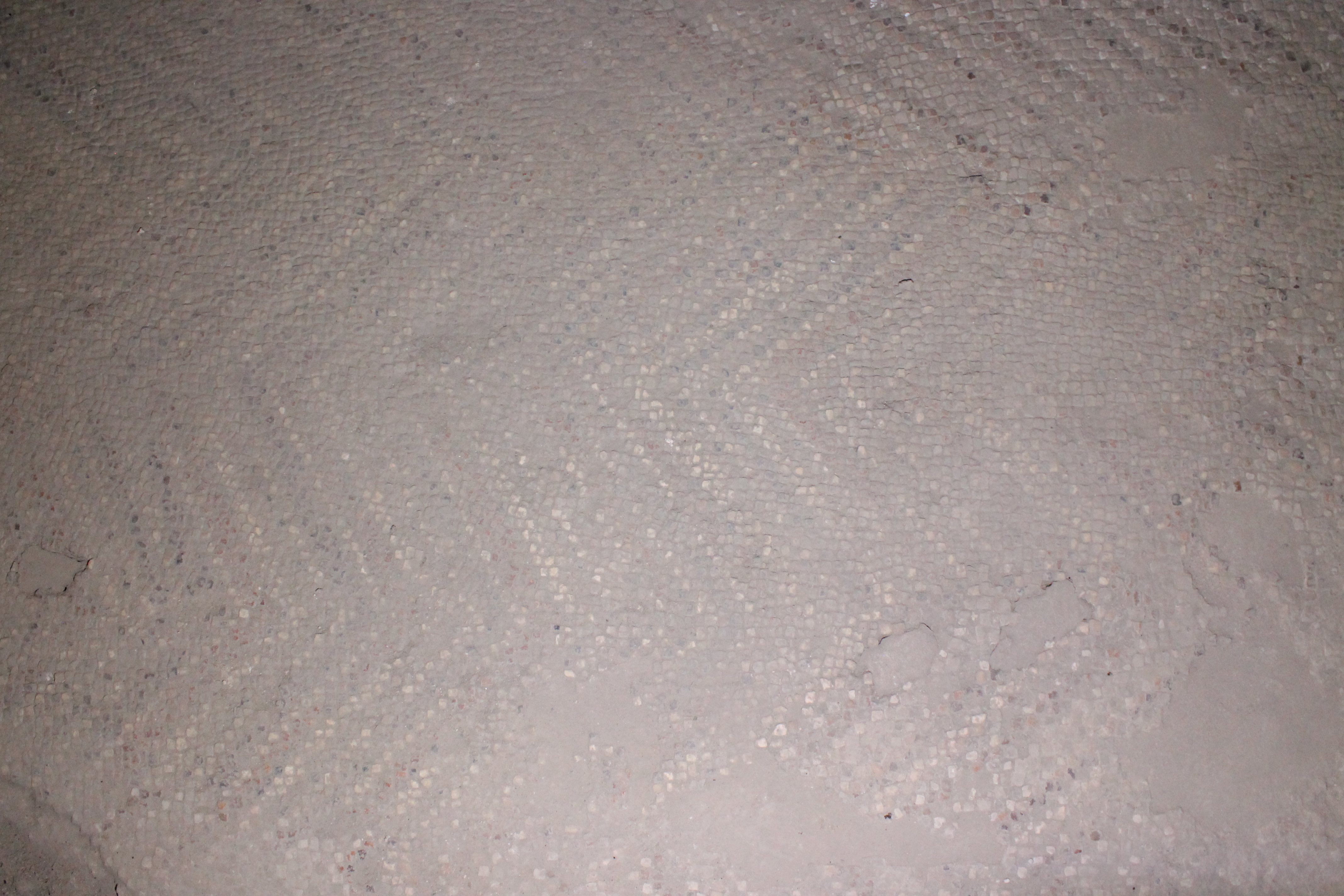 Portico_ISTEMI e Phoenix (17).JPG