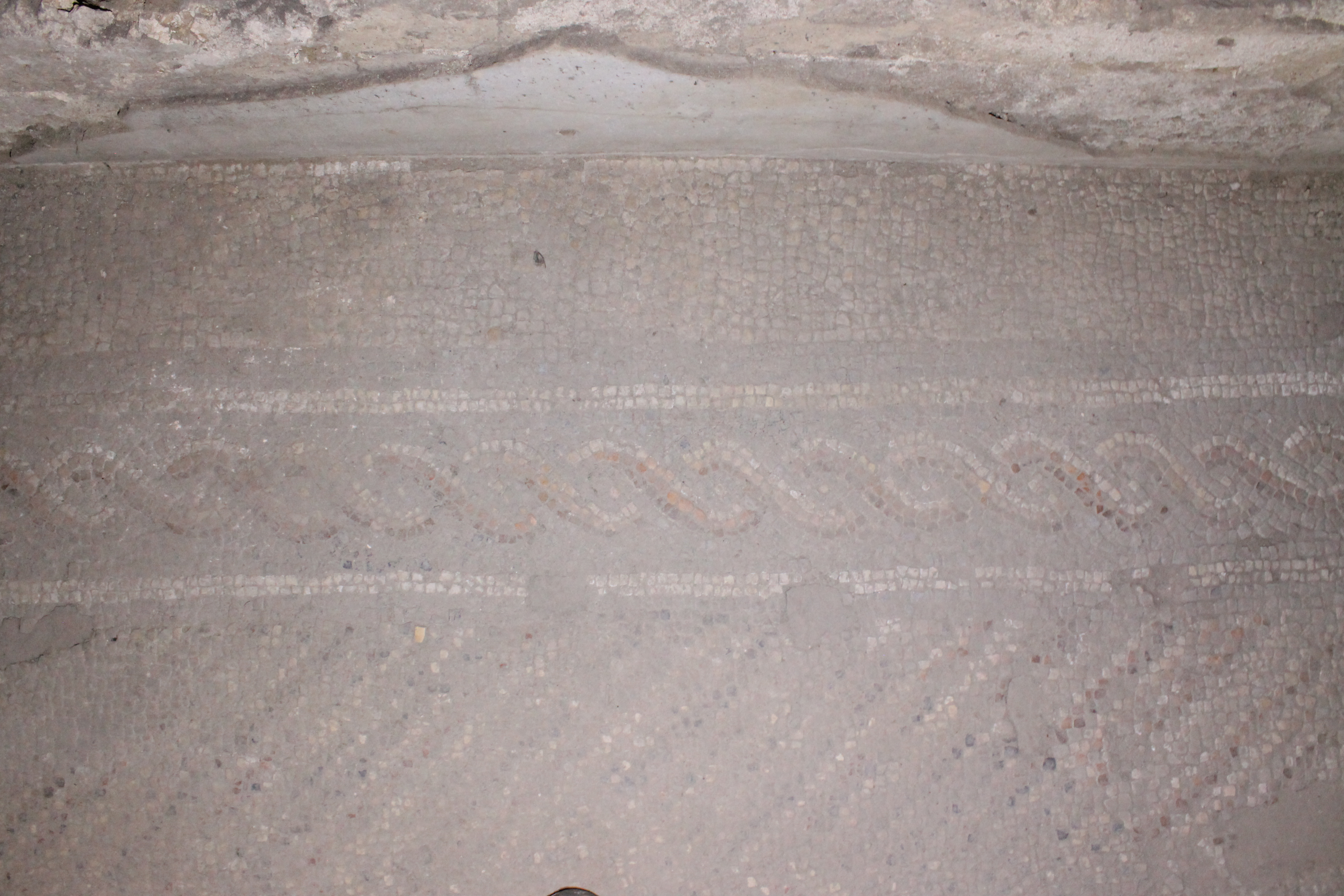 Portico_ISTEMI e Phoenix (18).JPG