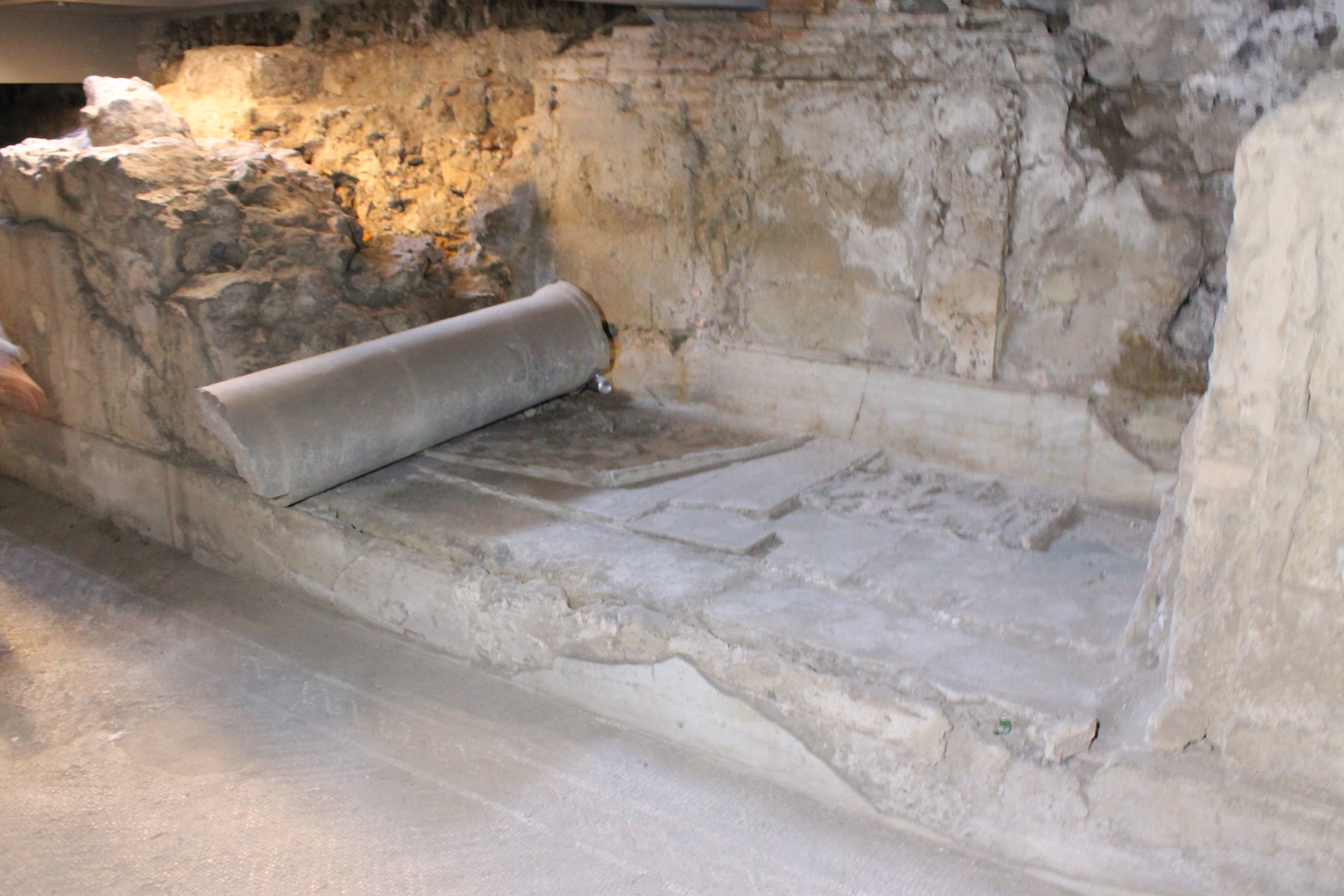 Portico_ISTEMI e Phoenix (21).JPG