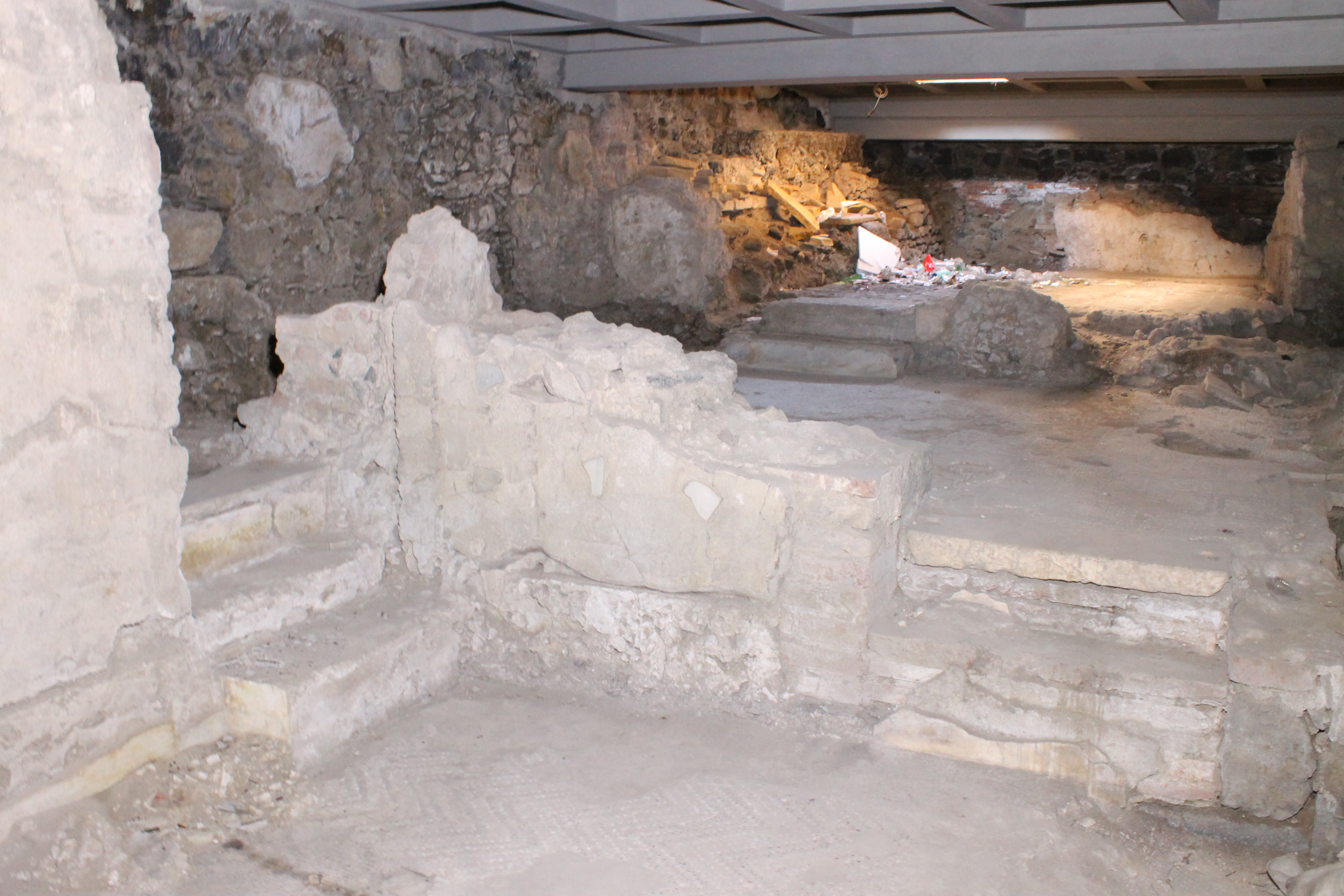 Portico_ISTEMI e Phoenix (22).JPG