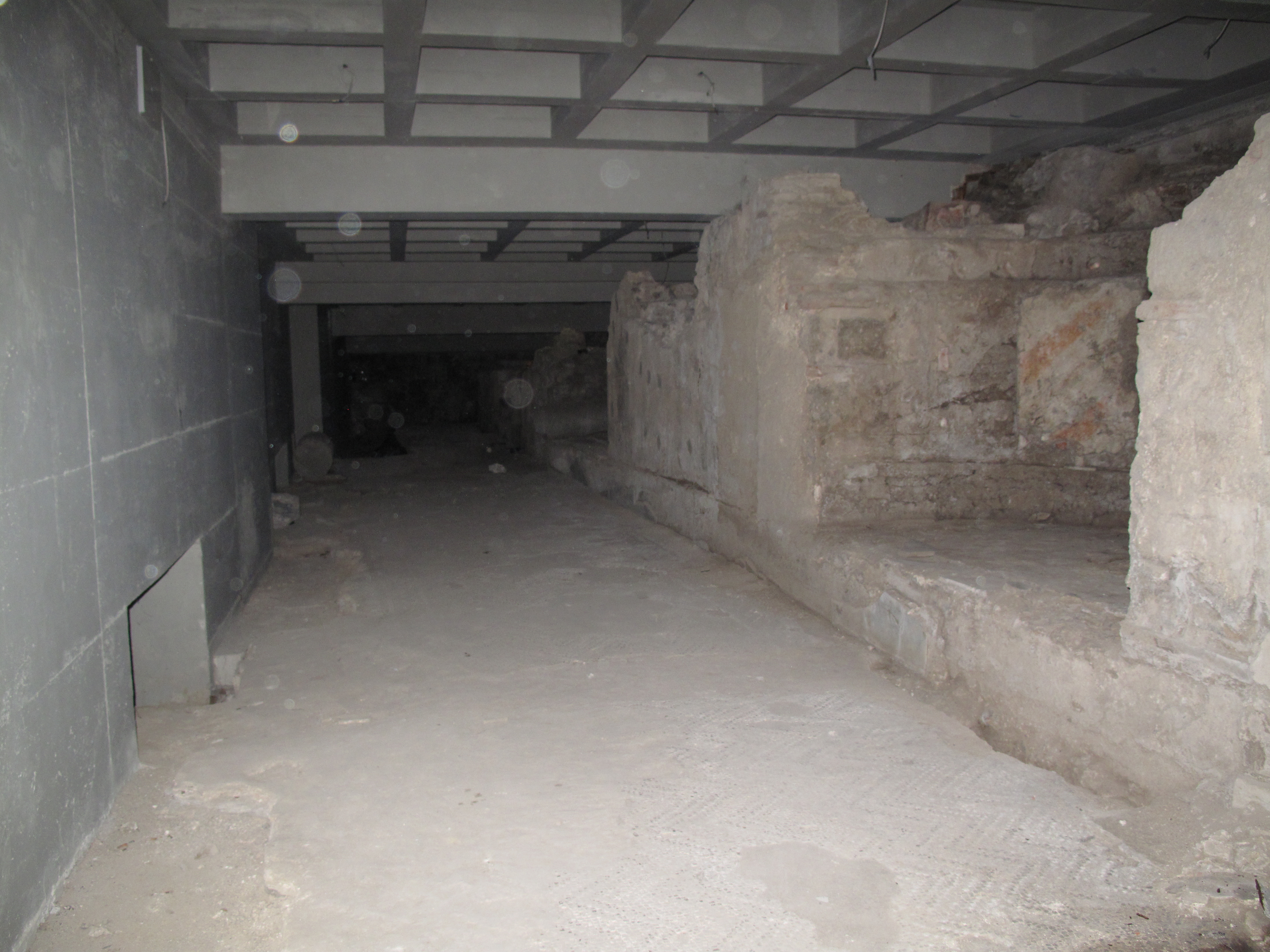 Portico_ISTEMI e Phoenix (7).JPG