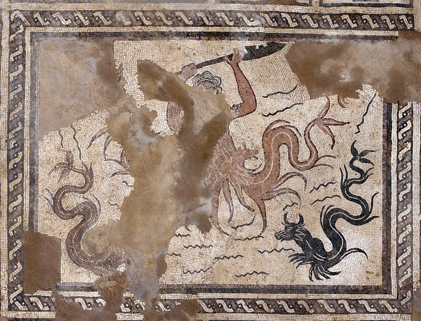 Realmonte_ISTEMI e Phoenix (15).jpg