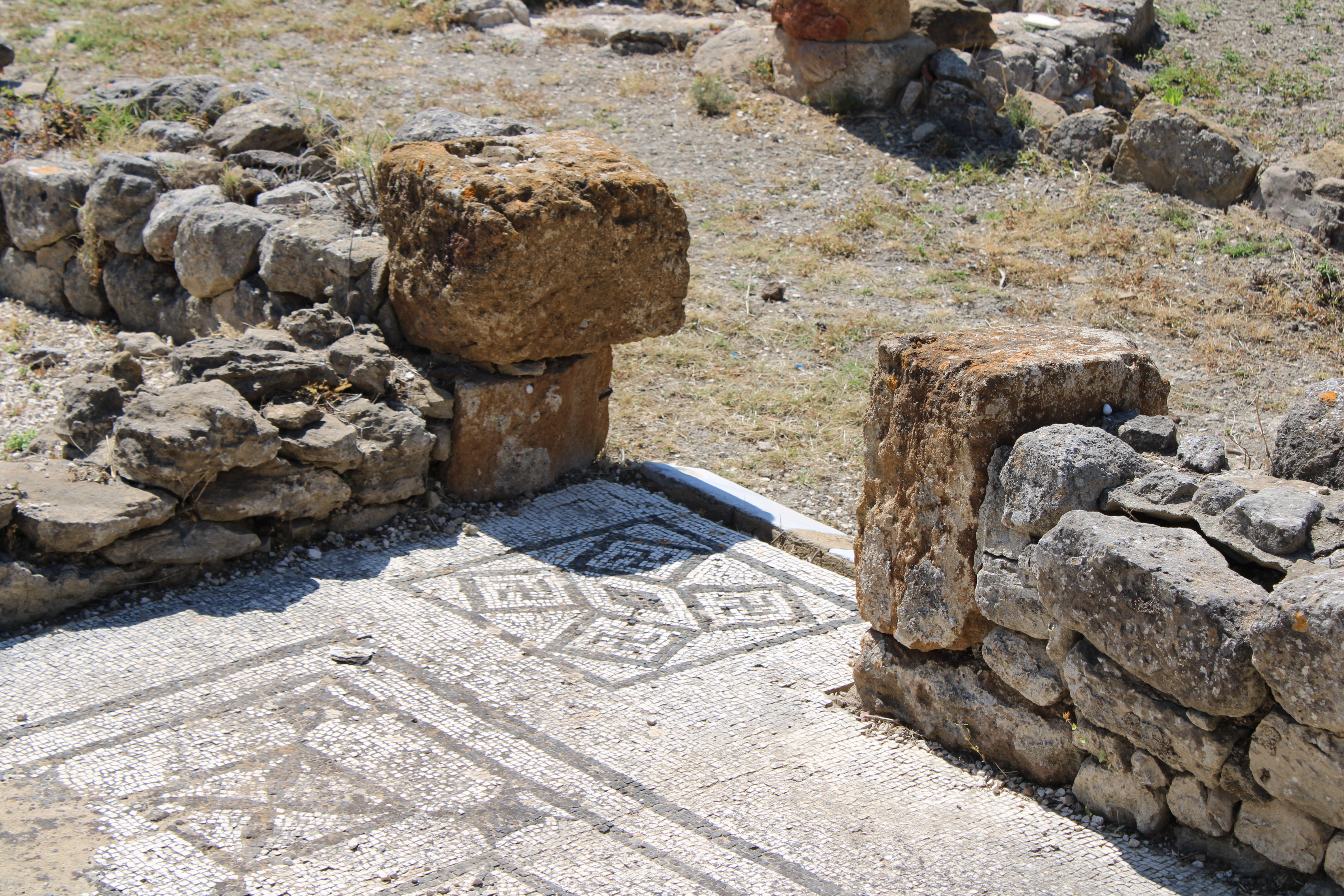 Realmonte_ISTEMI e Phoenix (17).JPG