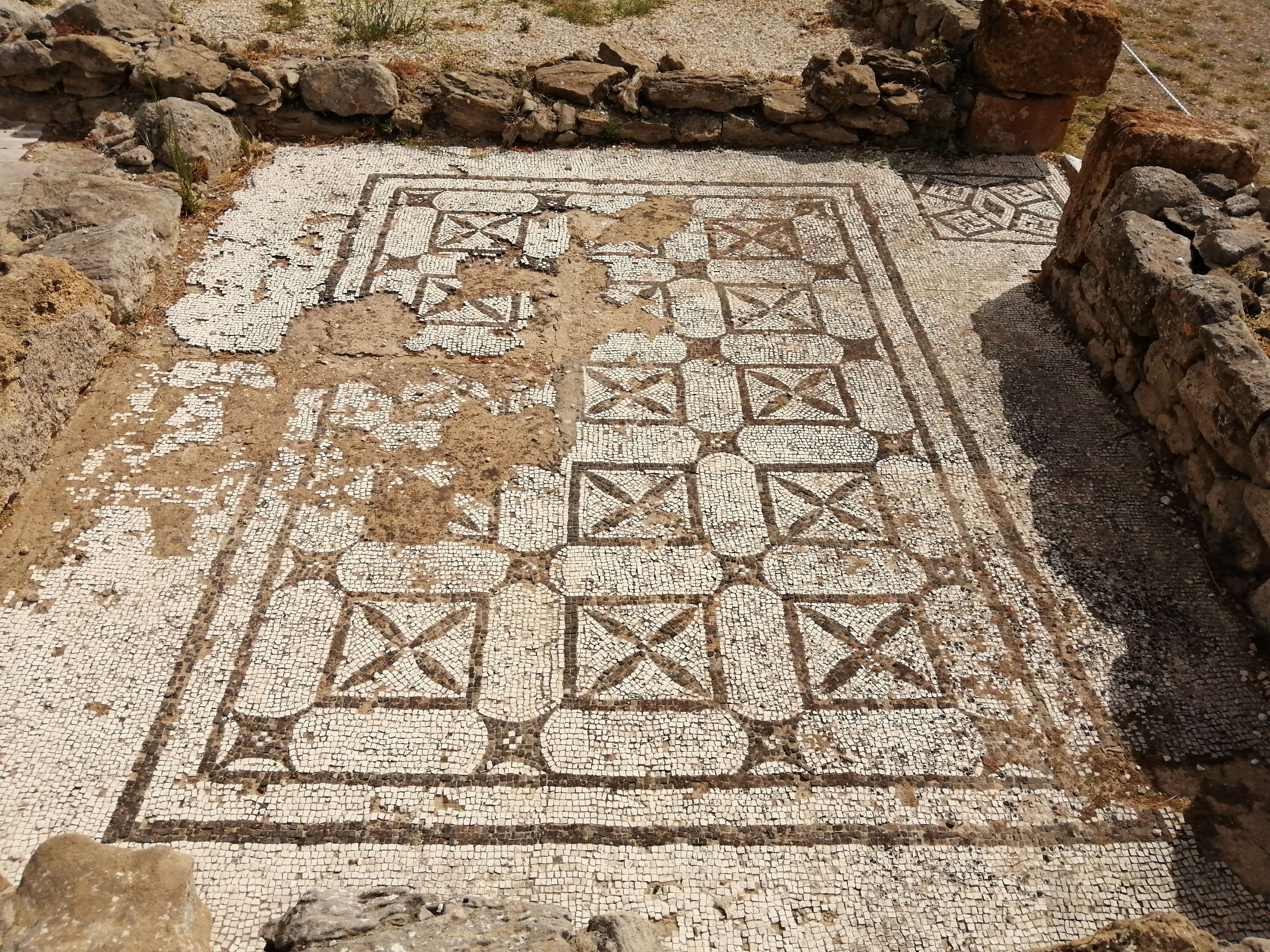 Realmonte_ISTEMI e Phoenix (19).jpg