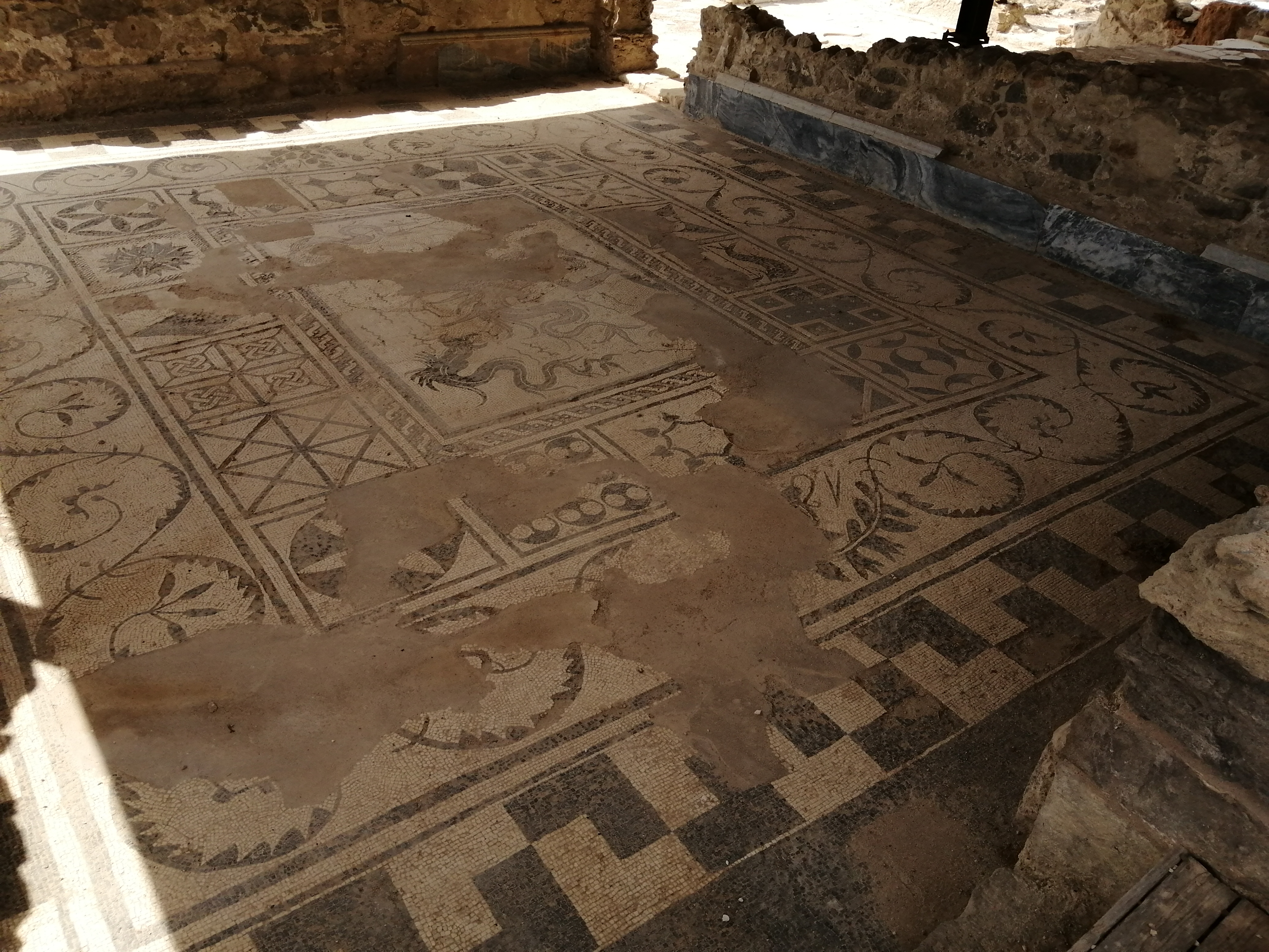 Realmonte_ISTEMI e Phoenix (20).jpg