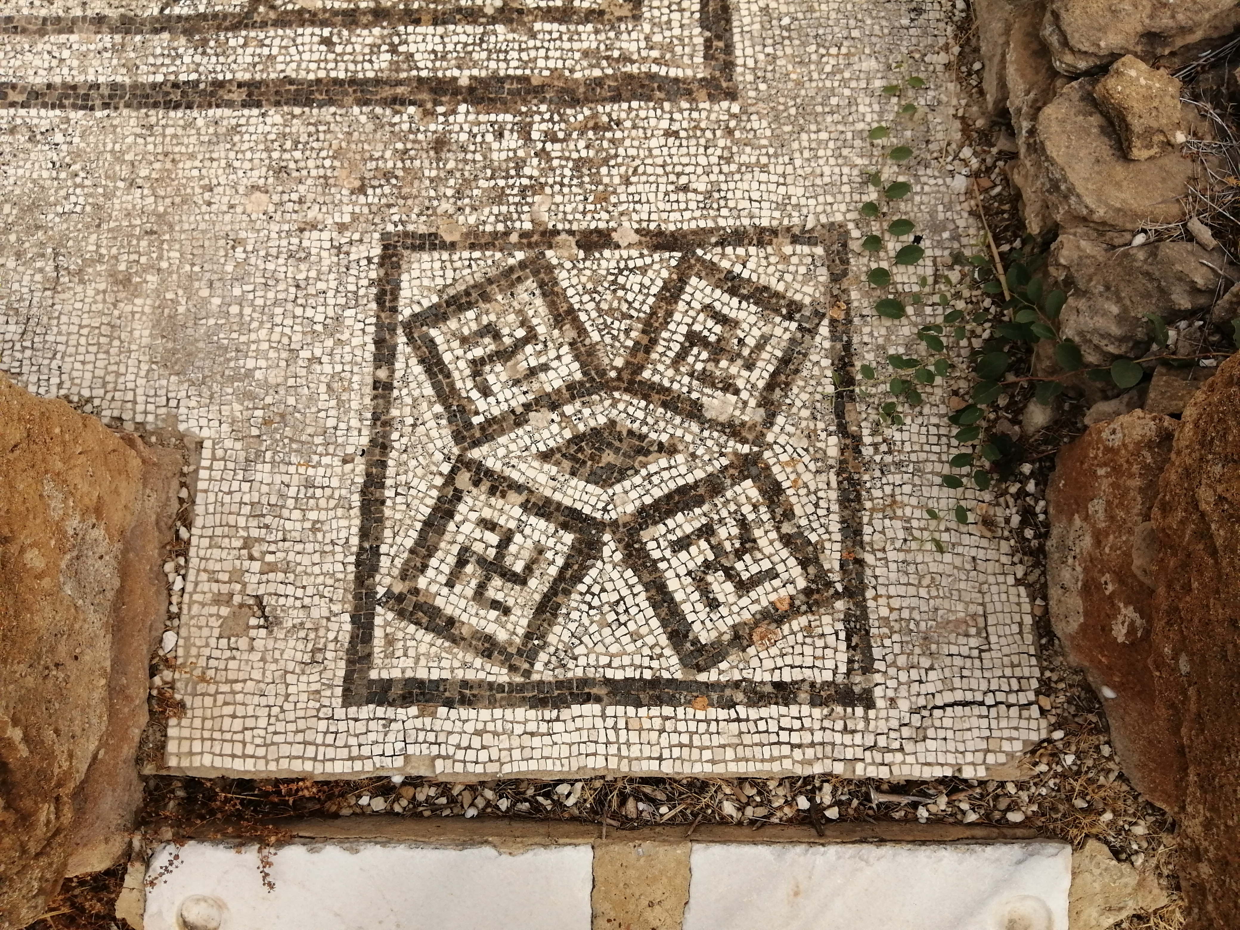 Realmonte_ISTEMI e Phoenix (22).jpg