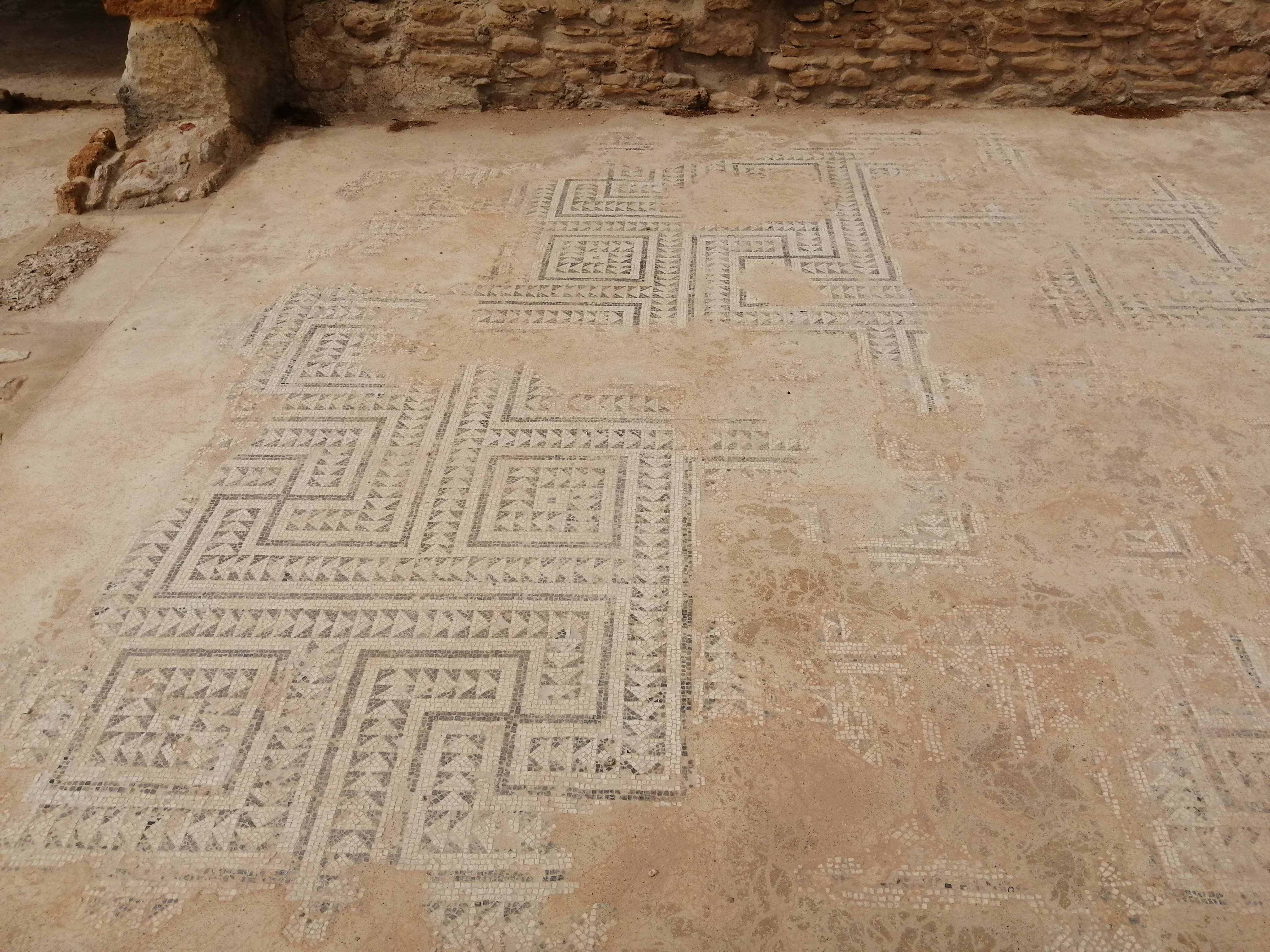 Realmonte_ISTEMI e Phoenix (23).jpg