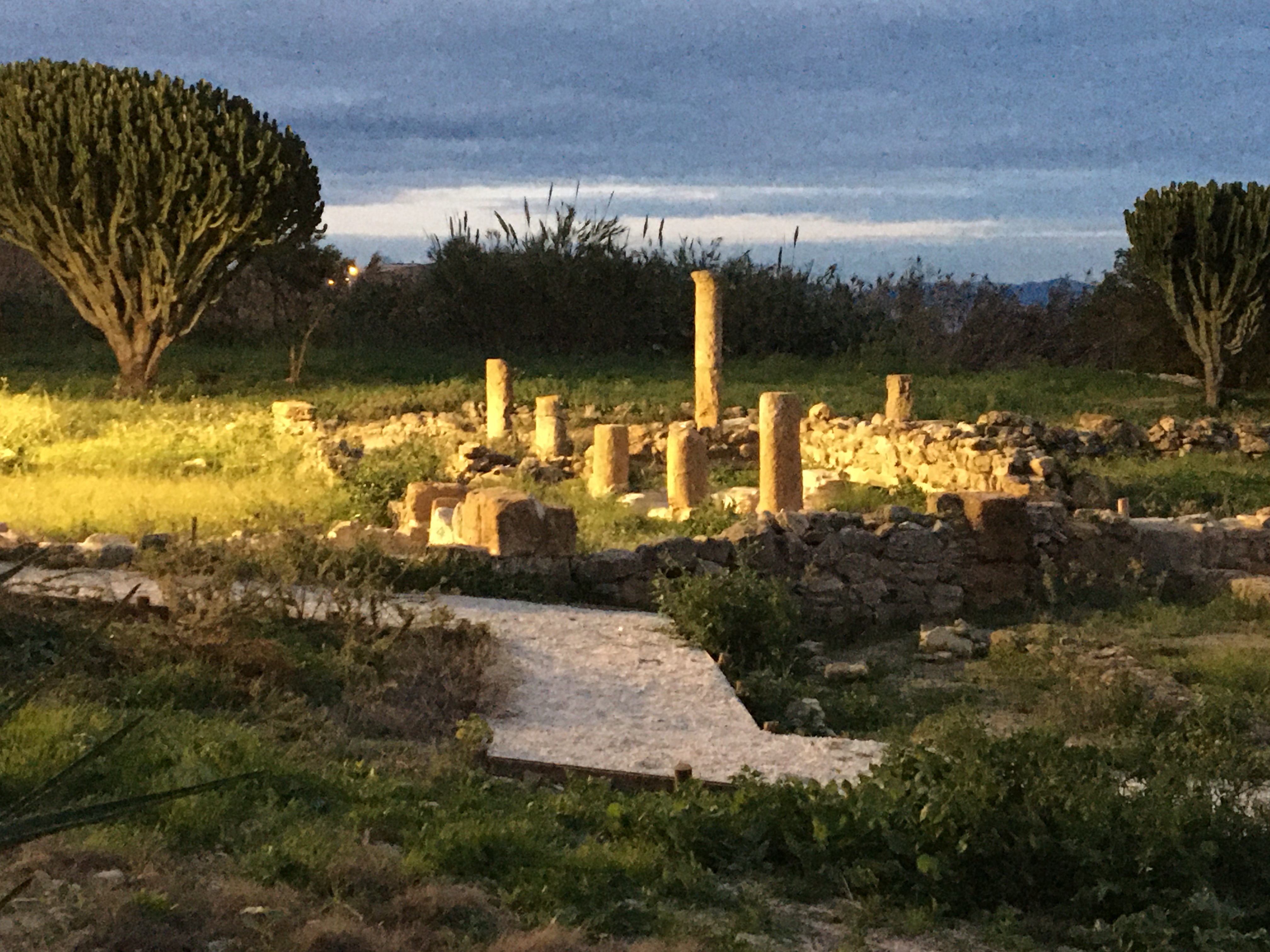 Realmonte_ISTEMI e Phoenix (9).JPG